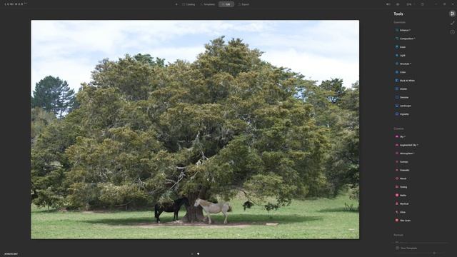 Best photo editing software for beginners 2021 - Why Luminar AI is so good for new photographers! смотреть онлайн