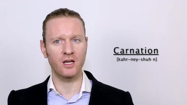 Carnation - Meaning | Pronunciation || Word Wor(l)d - Audio Video Dictionary смотреть онлайн