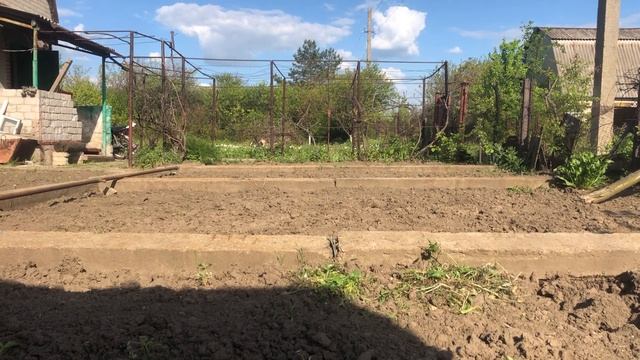 БАРЕЛЬЕФ, ЕЖЕВИКА, САМОЛЕТ, СЕМЕНА. НАСЫЩЕННЫЕ ДНИ. смотреть онлайн