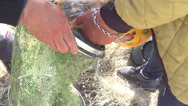 Сугояк 2, EM-FISHING очередное тестирование прикормки смотреть онлайн