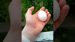 Кидаю яйца на прохожих