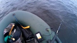 На квок. За сомом в октябре.