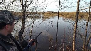 Охота на Гуся в Кировской области 2023 часть 2