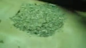 Переработка бодыля в крупку(махорка)