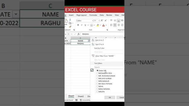 Excel Filter Tips to Save 2 Hours Daily on Excel | Excel Hacks