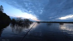 В ПЕРВЫЙ РАЗ ТАКАЯ ПОПАЛАСЬ! Рыбалка на бомбарду 2021! Рыбалка на Оке!