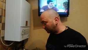 Куриные желудки потрошки Желудочки Сердечки Пупки Потроха тушеные с луком Быстрый ужин