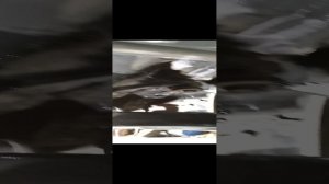 VID_20240916_183758.mp4