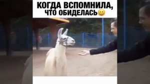 Ты знаешь кто это... ???