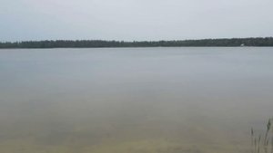 Белое озеро, Ульяновская область, 25.05.12