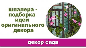 Шпалеры собранные в саду своими руками - это не только красиво, но и практично.