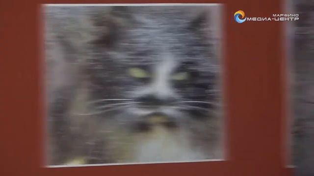 МедиаЦентр Марфино выставка Зима, февраль 2019 смотреть онлайн