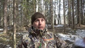 Как правильно манить вальдшнепа манком Чемпион