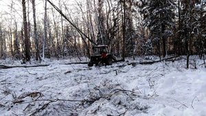 Т-25 на заготовке дров