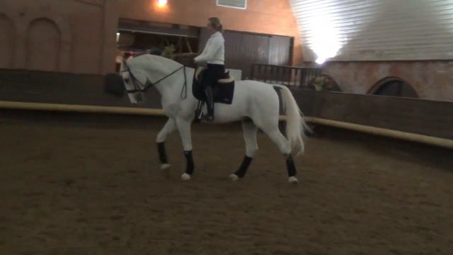 Maria Shuvalova and Grand Prix Dressage horse, gelding 2003.
