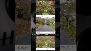 Oneplus 12 VS Vivo X100 Pro Camera Comparison!