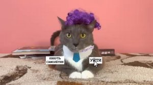 КОТИКИ В ШКОЛЕ - ИГРА
@kotynet