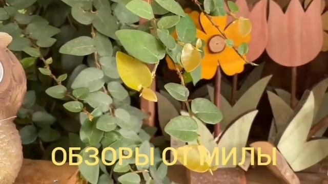 Ольга Уралочка Лайф. Обзор влога.
