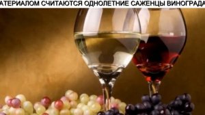 Арочные Сорта Винограда