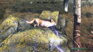 The Elder Scrolls V  Skyrim Special Edition А вот и управляющий на ферму нашёлся #19