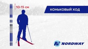Выбираем беговые лыжи правильно