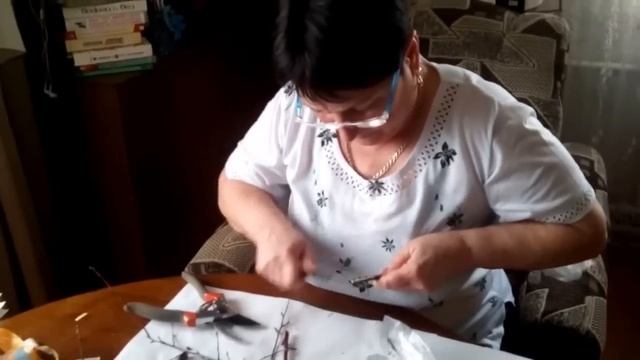 Простая копулировка. Купили 1 саженец, получили 2. смотреть онлайн