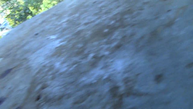 Обработка от клеща и подкормка с кас 81 смотреть онлайн