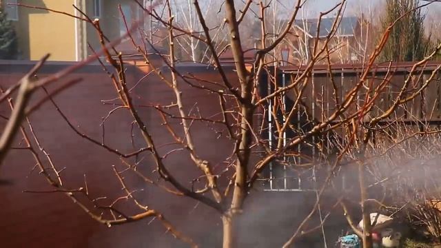Осенняя обработка препаратом 30Д от компании Агропромника