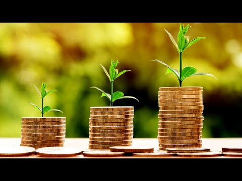 #1 КРИПТОИНВЕСТОР 2020 (Криптовалюта & Акции, ETF, фонды и т.д.)