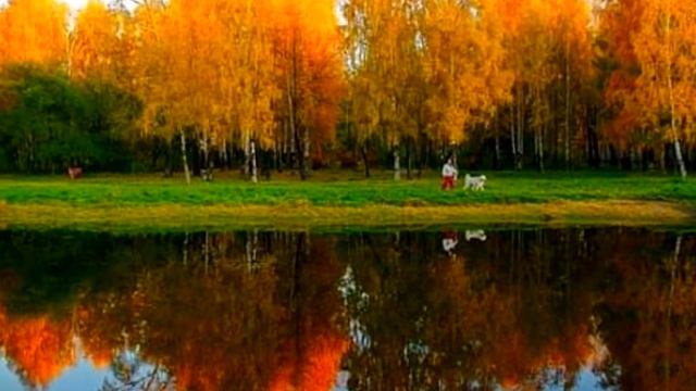 ОСЕНЬ ВИДЕО - СМОТРЕТЬ!  Осенняя природа - осенняя краса