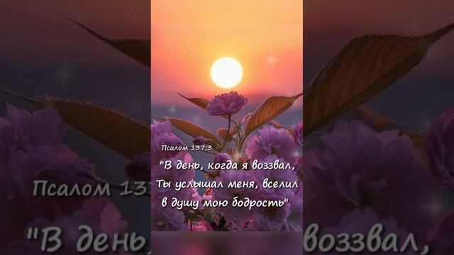 Самой прекрасной ночи! Христианское пожелание! смотреть онлайн