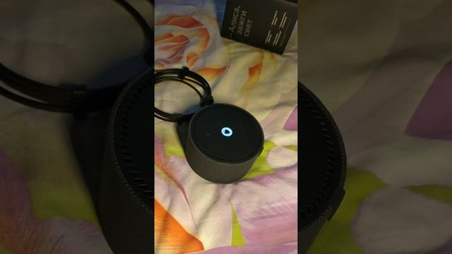 ?️лиса?Яндекс mini ! умная колонка! первое знакомство! смотреть онлайн