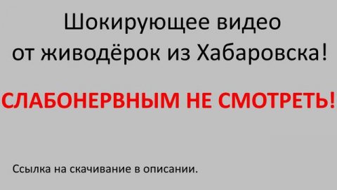 ШОК!!! ЖЕСТОКОЕ ВИДЕО ОТ ЖИВОДЁРОК ИЗ ХАБАРОВСКА!!! ТАКОГО ВЫ ЕЩЁ НЕ ВИДЕЛИ!