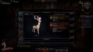 CLOSED Neverwinter Mod 21- GIVEAWAY PC Mythic & Legendary Mounts + Runestones