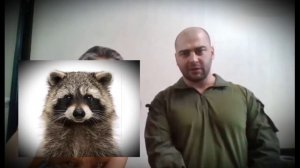 Куда ты так разогналась, Тётя-Мотя?..
Грубник...