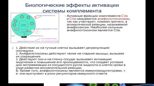 16:40-18:10 Понятие об иммунитете  Защитные системы организма человека