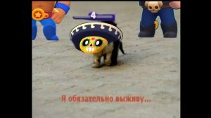 САМЫЕ СМЕШНЫЕ МЕМЫ ПРО БРАВЛ СТАРС! **2 часть**