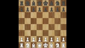 Что такое дебют. Полуоткрытые дебюты