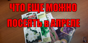 ЧТО еще МОЖНО ПОСЕЯТЬ в АПРЕЛЕ (ЦВЕТЫ,ОВОЩИ и т.д.)