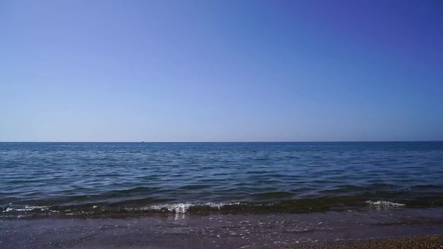 Кто любил, тот носит шрамы. смотреть онлайн