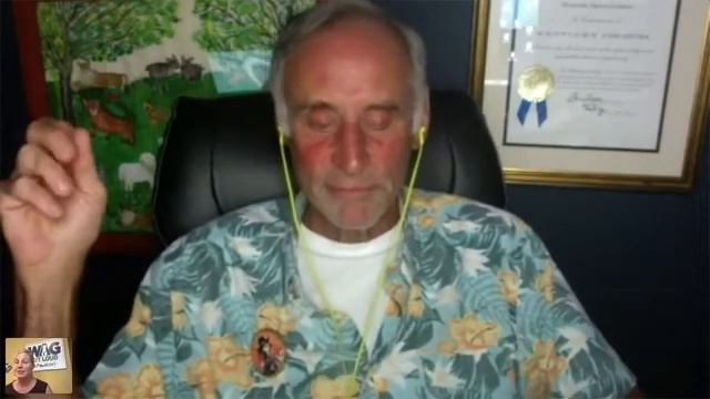 FREE Demystifying Canine Nutrition Masterclass смотреть онлайн