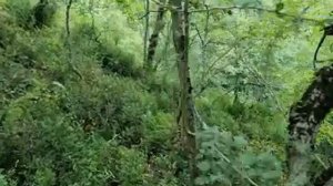 Абхазия. Крепость Мушба. село Абгархук. Абахуаца/Абахуамца. Гудаута.