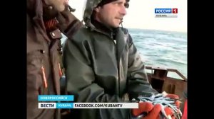 В Черном море   пик лова хамсы