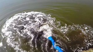 Перевозка Живой рыбы, зарыбление водоёма