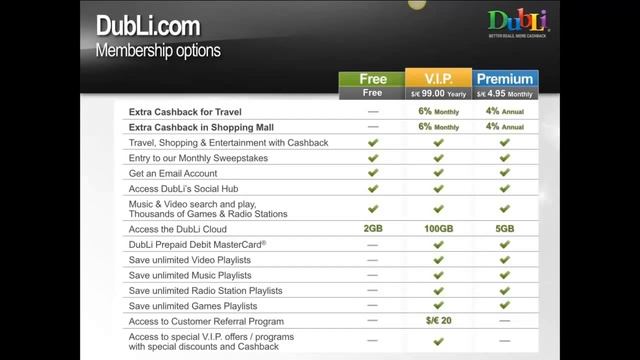 Dubli Partner Program for Non Profit's смотреть онлайн