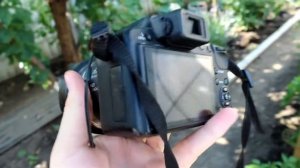 Canon 600D || Обзор