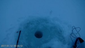 Рыбалка на щучьи капканы