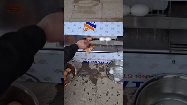 Станок для чистки яиц от скорлупы?? #asiaguanpro смотреть онлайн