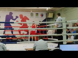 Соревнования по боксу / ЮНИОРЫ 17-18 лет / 56 кг.