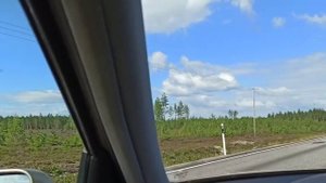 Мой тест драйв старенького Фольксвагена Гольфа дизель 1,9